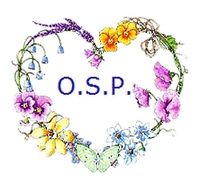 OSP Cosmetics coupons